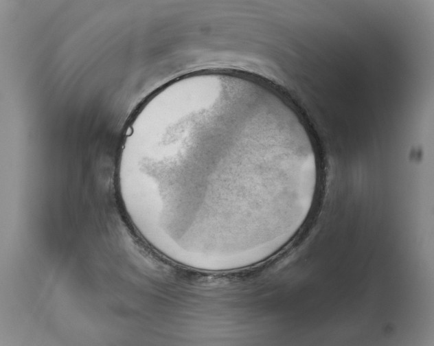 X0000114531505200911091059