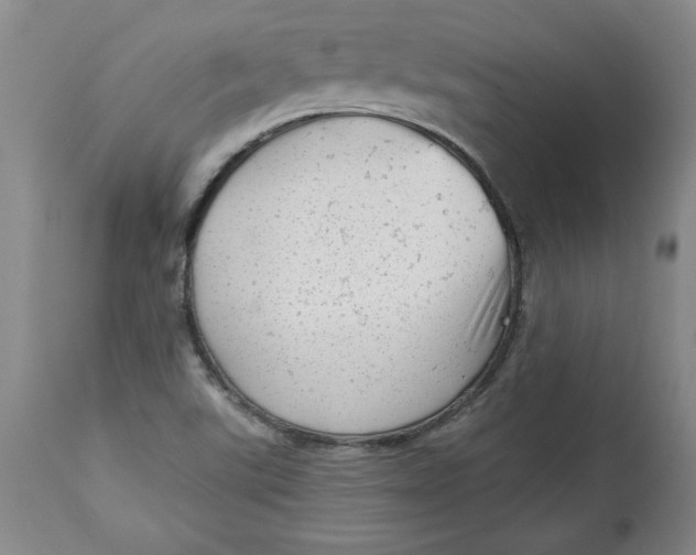 X0000114531507200911091059