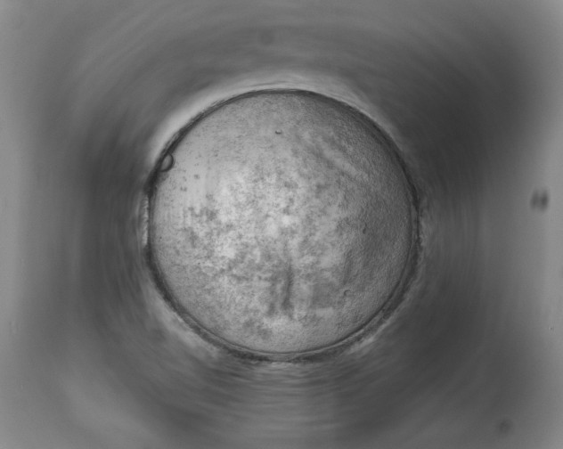 X0000114531510200911091059