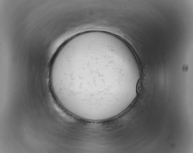 X0000114531511200911091059
