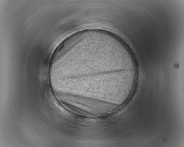 X0000114531513200911091059