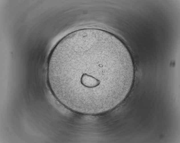 X0000114531514200911091059