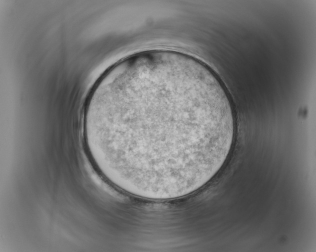 X0000114531515200911091059