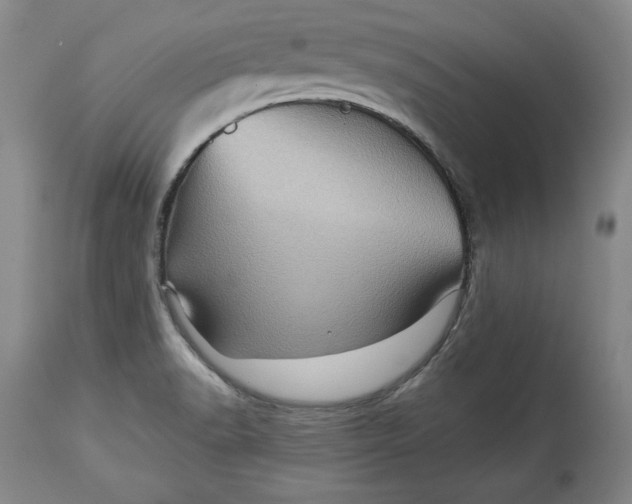 X0000114531518200911091059