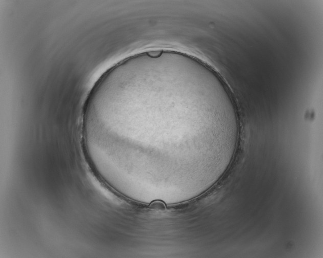 X0000114531519200911091059