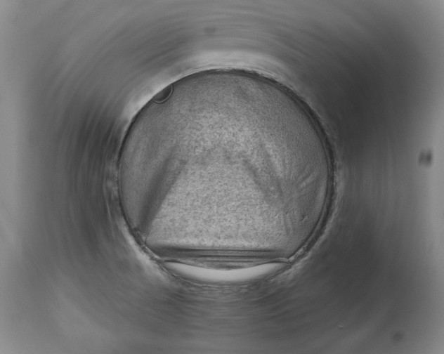 X0000114531521200911091059