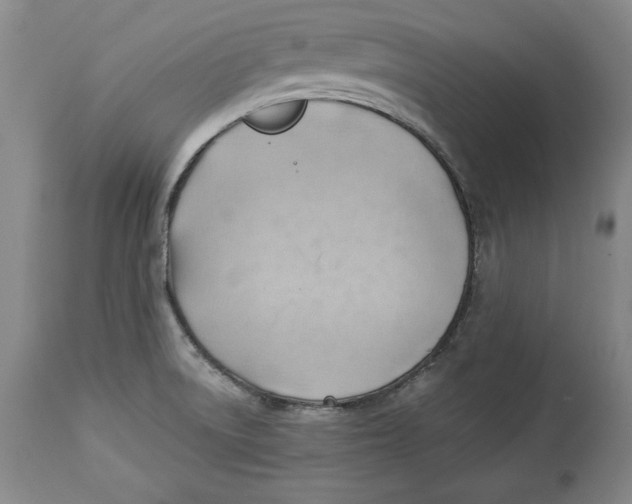 X0000114531522200911091059