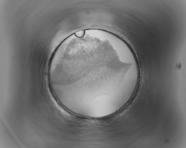 X0000114531525200911091059