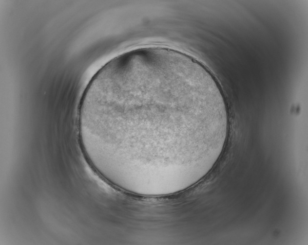 X0000114531527200911091059