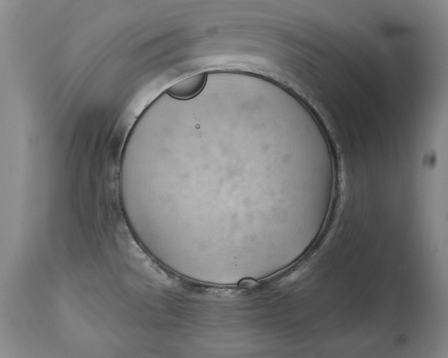 X0000114531529200911091059