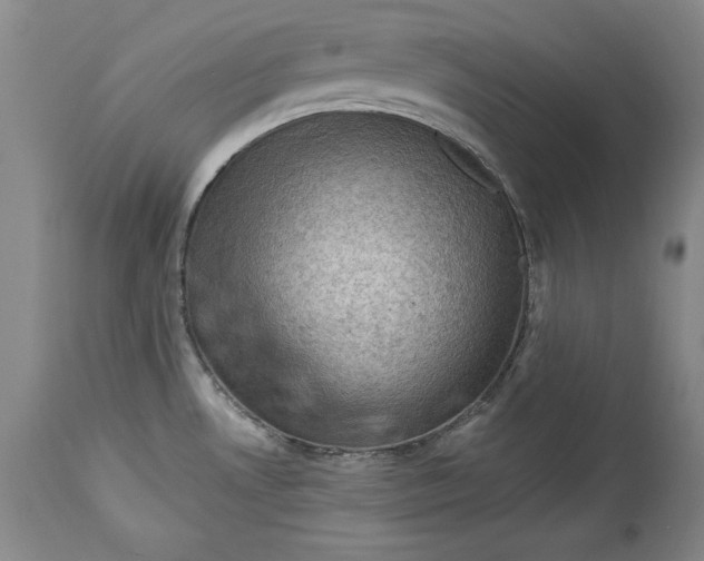 X0000114531530200911091059