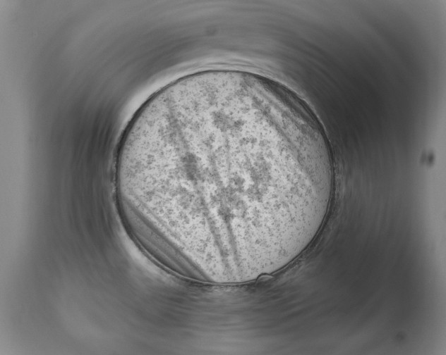 X0000114531531200911091059