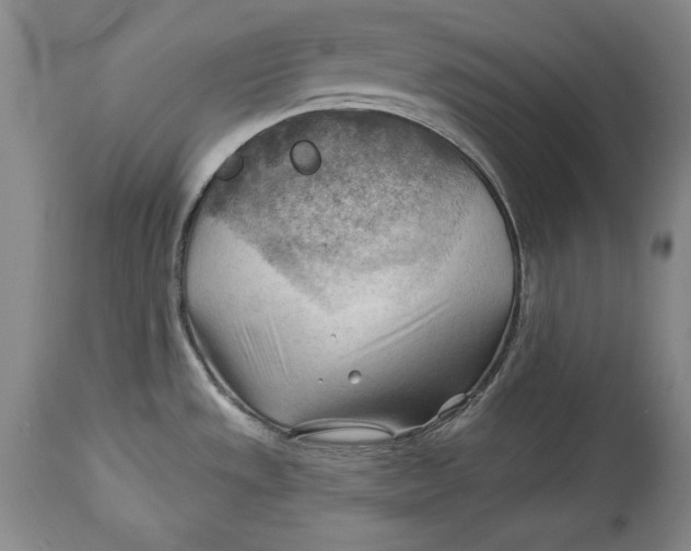 X0000114531533200911091059