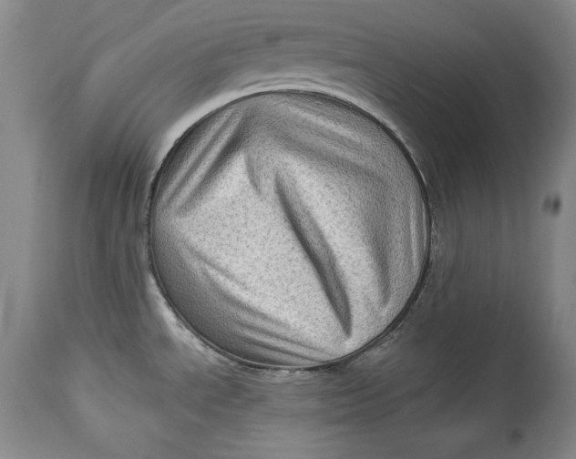 X0000114531534200911091059