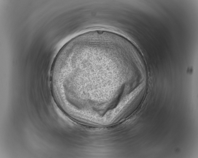 X0000114531535200911091059