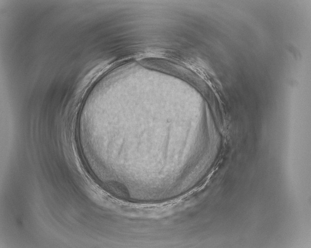 X0000114530001200911161346