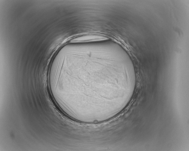 X0000114530002200911161346