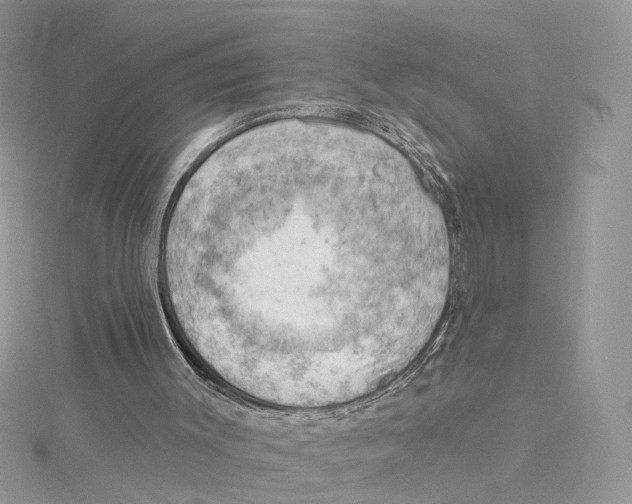 X0000114530003200911161346