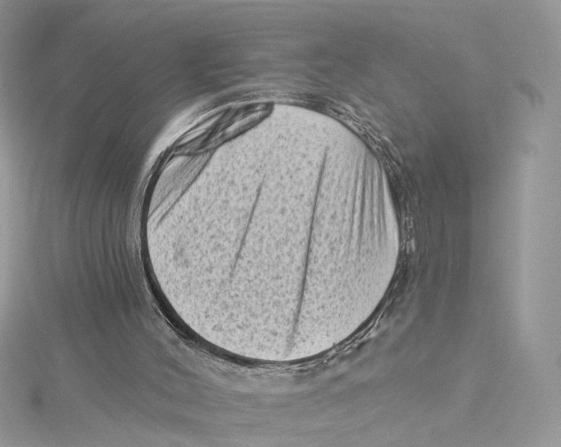 X0000114530004200911161346