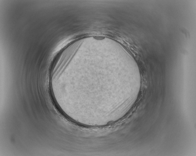 X0000114530005200911161346