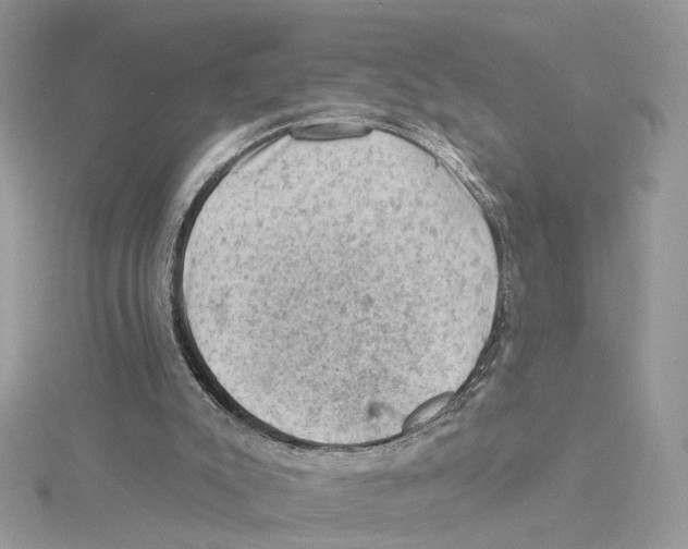 X0000114530007200911161346