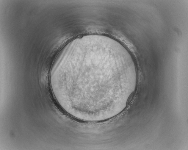 X0000114530009200911161346