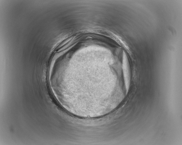 X0000114530010200911161346