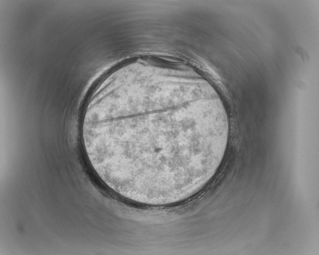 X0000114530012200911161346