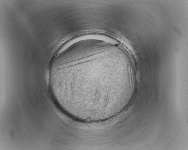 X0000114530013200911161346