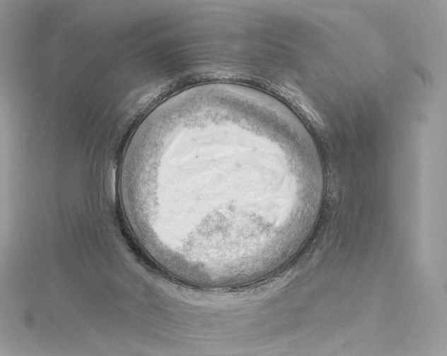 X0000114530014200911161346