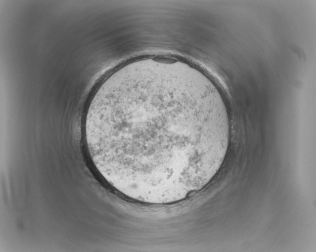 X0000114530015200911161346