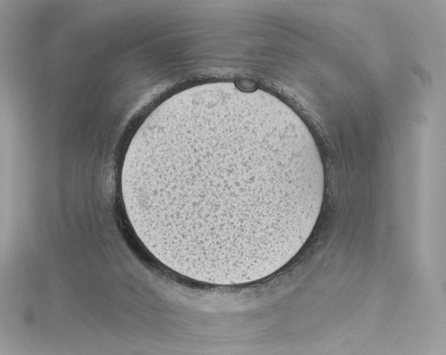 X0000114530016200911161346