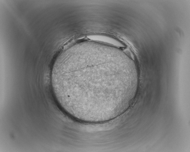 X0000114530017200911161346