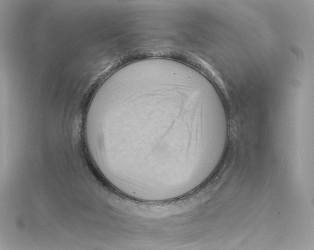 X0000114530018200911161346