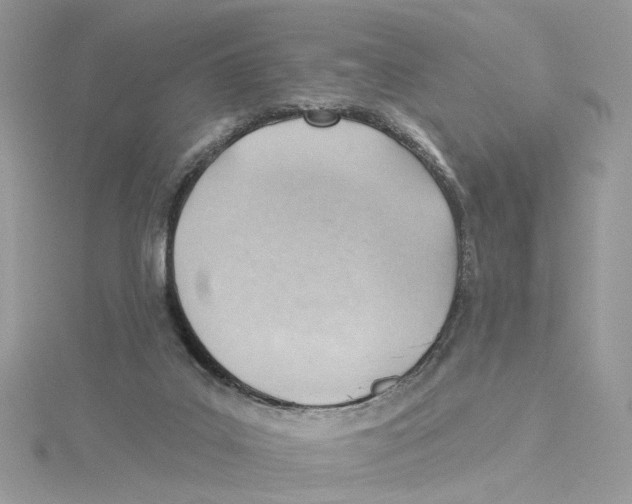 X0000114530019200911161346