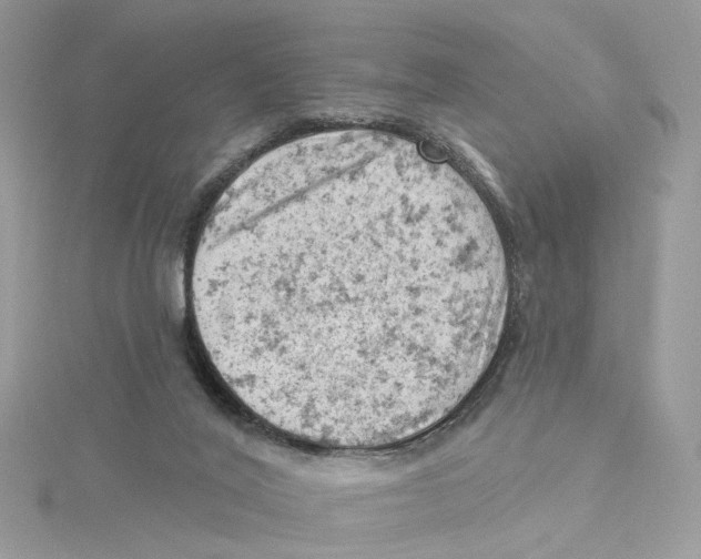 X0000114530020200911161346