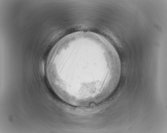 X0000114530022200911161345