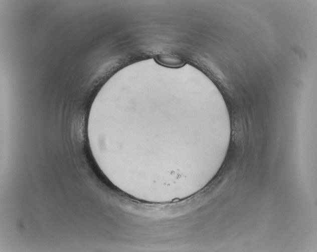 X0000114530023200911161345