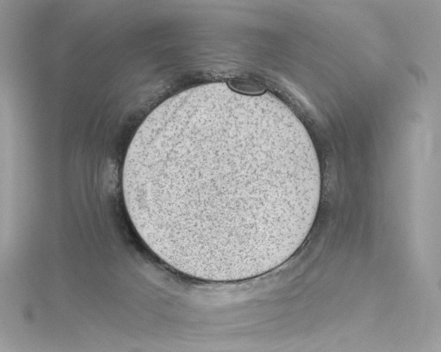 X0000114530025200911161345