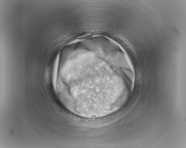 X0000114530026200911161345