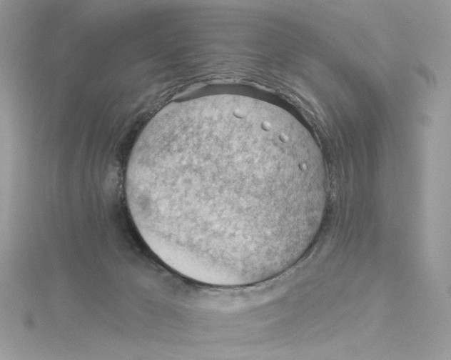 X0000114530029200911161345