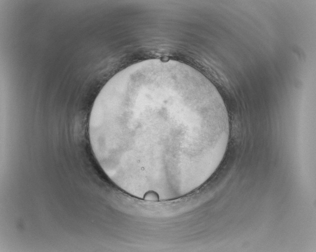 X0000114530030200911161345