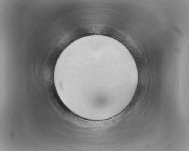 X0000114530031200911161345