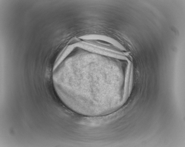 X0000114530033200911161345