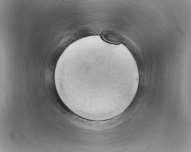 X0000114530035200911161345