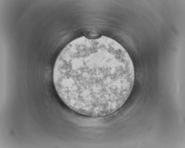 X0000114530036200911161345