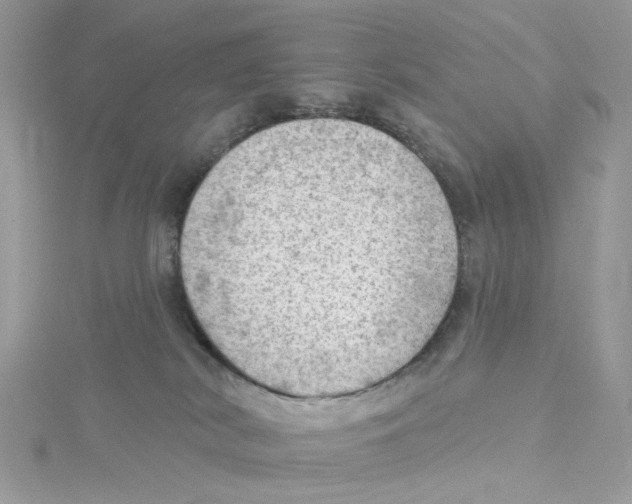 X0000114530038200911161345