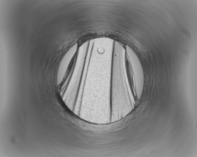 X0000114530039200911161345