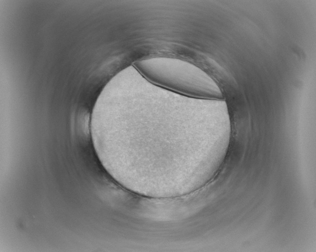 X0000114530041200911161345