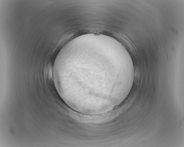 X0000114530046200911161345